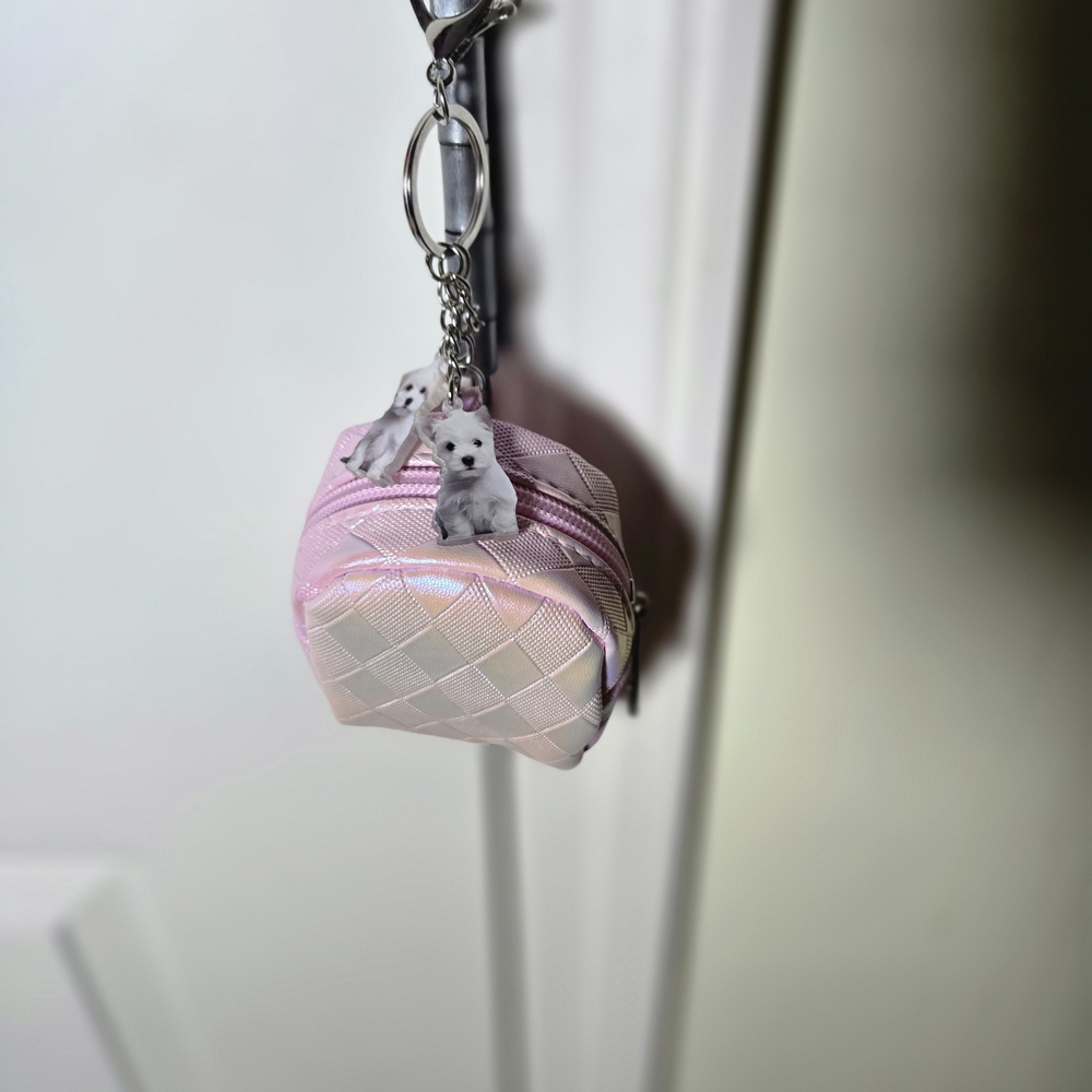 Pink Checkered Irridescent Mini Bag with Dog Charms Bag Charm And Key Chain